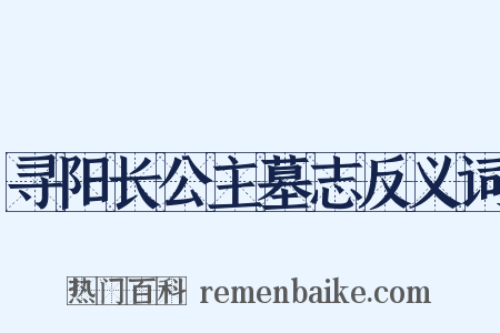 寻阳长公主墓志反义词是什么意思的图片